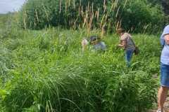 IMG-20250629-WA0090