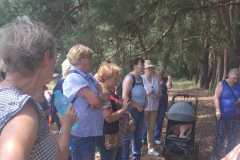 IMG-20250629-WA0093