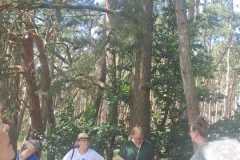 IMG-20250629-WA0095