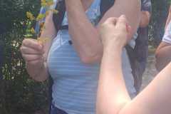 IMG-20250629-WA0101
