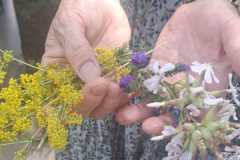 IMG-20250629-WA0103