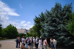 IMG-20250629-WA0126