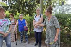 IMG-20250629-WA0135