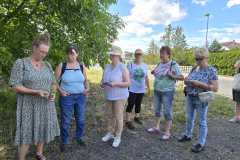 IMG-20250629-WA0141