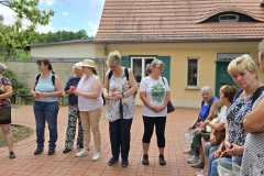 IMG-20250629-WA0143