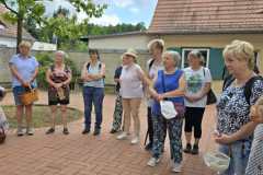 IMG-20250629-WA0144