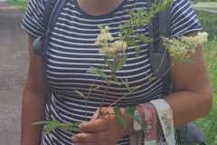 IMG-20250720-WA0041