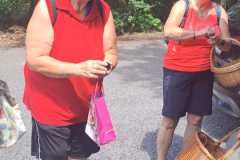 IMG-20250720-WA0044