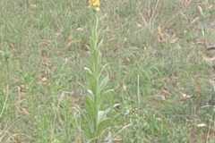 IMG-20250720-WA0048