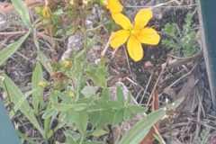 IMG-20250720-WA0060