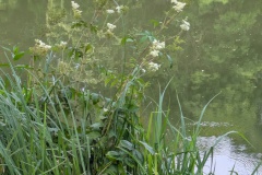 PXL_20250720_113422269