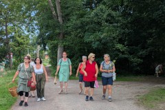 PXL_20250720_114100078