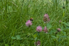 PXL_20250720_114622410