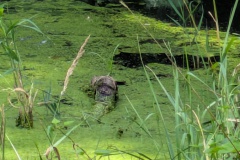 PXL_20250720_120516070