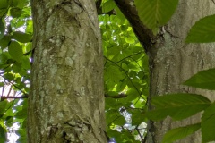 PXL_20250720_121601868