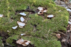 PXL_20250720_121710648.PORTRAIT