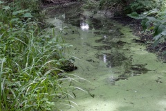 PXL_20250720_124253767