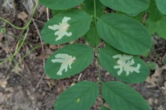 PXL_20250720_125257674