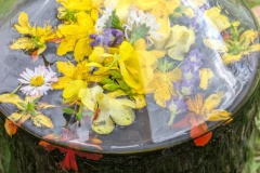 PXL_20250824_095323222