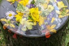 PXL_20250824_095413849