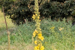 PXL_20250829_173610700