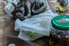 PXL_20250223_114545592.MP2_