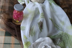 PXL_20250223_114615569.MP_