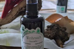 PXL_20250223_114737165.MP2_