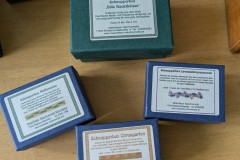 PXL_20250223_114942380.MP2_