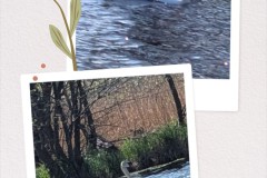 20260424_163745-COLLAGE
