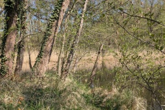 PXL_20260424_130309595.MP_