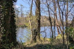 PXL_20260424_130315231.MP_