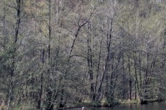 PXL_20260424_130418185.MP_