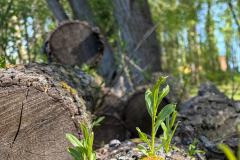 IMG-20260426-WA0028