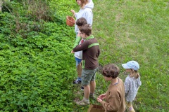 PXL_20250807_075527767