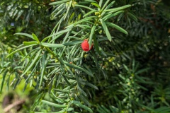 PXL_20250807_082925716.MP_