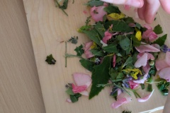 PXL_20250807_103858416.MP_