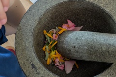 PXL_20250807_104423447.MP_