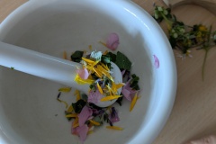 PXL_20250807_104624090.MP_