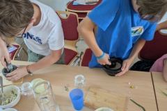 PXL_20250807_105021313.MP_