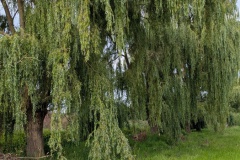 PXL_20250808_072914744