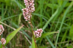 PXL_20250808_073024904