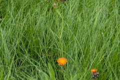 PXL_20250808_073405713