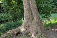 PXL_20250808_084020309.MP_