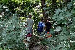 PXL_20250808_084101044.MP_