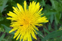 PXL_20250808_084125174.MP_