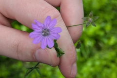 PXL_20250808_084649026.MP_