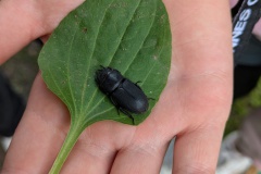 PXL_20250808_085000166.MP_