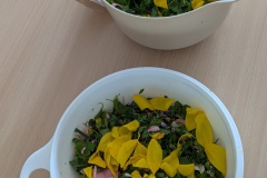 PXL_20250808_095345190