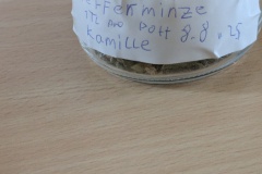 PXL_20250808_111527986